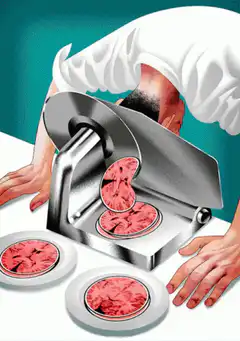 brain slicer