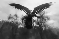 Maleficent spreading wings