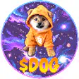 Shiba Inu in Doge costume spinning in space