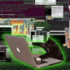 Hacker Cat typing on laptop