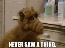 Alf Never Saw A Thing