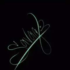 Glowing green signature animation