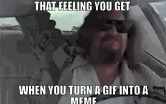 The Dude That Feeling When You Turn A GIF Into A Meme