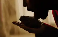 Man kissing a frog in his hand
