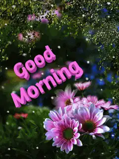 Good Morning flowers and sparkles