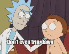 Rick Sanchez tells Morty don't even trip dawg