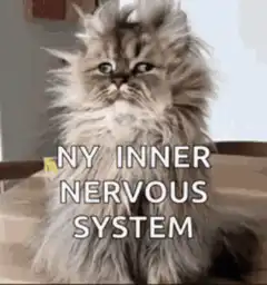 NY Inner Nervous System Cat