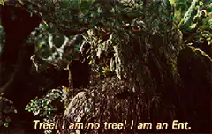 Tree! I am no tree! I am an Ent.