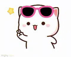cool cat with sunglasses
