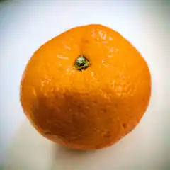 Close-up of a shiny orange