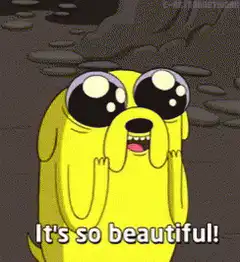 Jake the Dog It's so beautiful