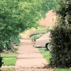Marty McFly running from the DeLorean