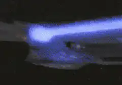 Star Trek Cat Meme