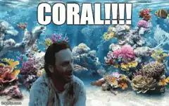 Rick Grimes yelling CORAL underwater
