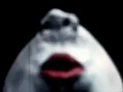 blurry face screaming