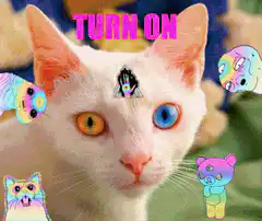 Trippy cat with changing text and colors