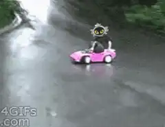 Cat driving pink toy car crashes