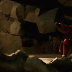 Red crab walking on rocks