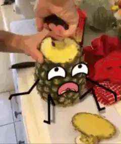 Pineapple screaming while being cored