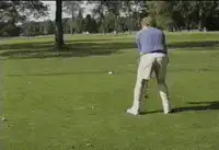Golfer swings and falls over