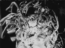 Cronenberg body horror face