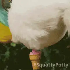 Unicorn dropping poop ice cream