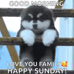 Sleepy Puppy Good Morning