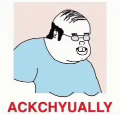 Ackchyually Guy Meme