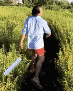 Man walking through cornfield ditch