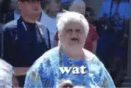 Older woman face morphs to wat