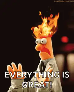 Bert on fire everything is great