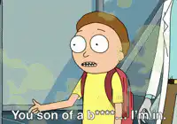 Morty You son of a b**** I'm in