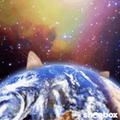 cat peeking over earth