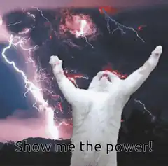 Cat summoning lightning