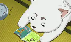 Shiro reading a book