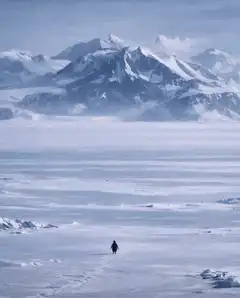 lone figure walking across icy tundra