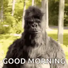 gorilla good morning thumbs up
