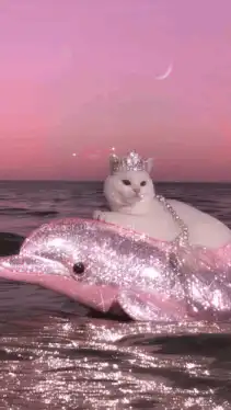 Crowned cat on glitter dolphin