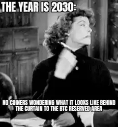 The Year Is 2030 No Coiners
