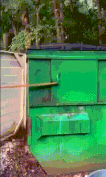 Pepe the Frog in a dumpster