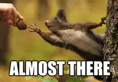 Squirrel reaching for nut almost there