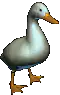 pixel art duck walking