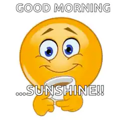 Good Morning Sunshine Emoji GIF