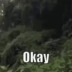 Okay Okay Okay Okay