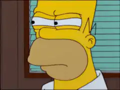 Homer Simpson looking skeptical