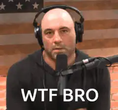 Joe Rogan WTF Bro