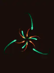 glowing flower animation