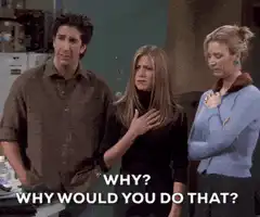 Friends Why Would You Do That