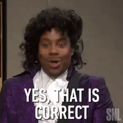Yes That Is Correct SNL