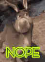 Donkey says nope